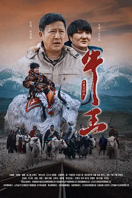 我的妻子视频